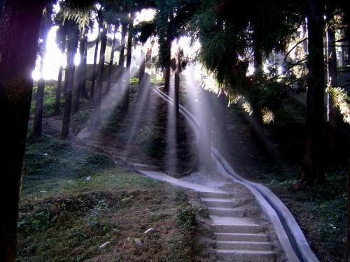 [walk-path-nature-beauty-green[3].jpg]
