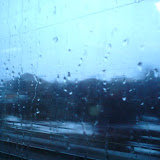 DSC00154.JPG