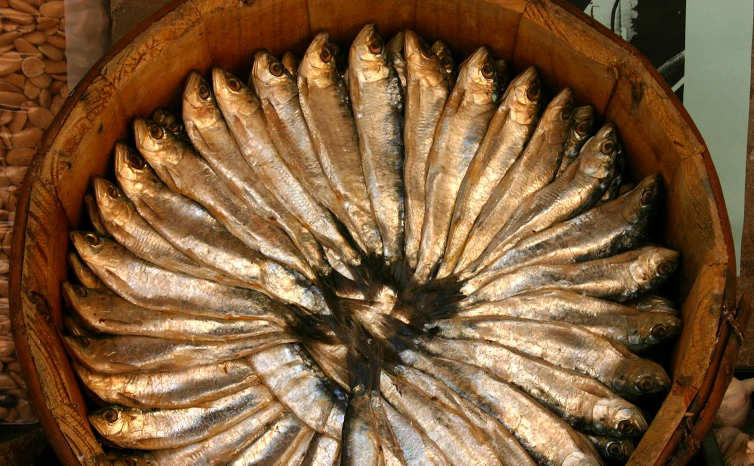 Why, yes.  Those are indeed fish.  In a barrel.