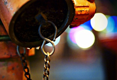 SONY DSC