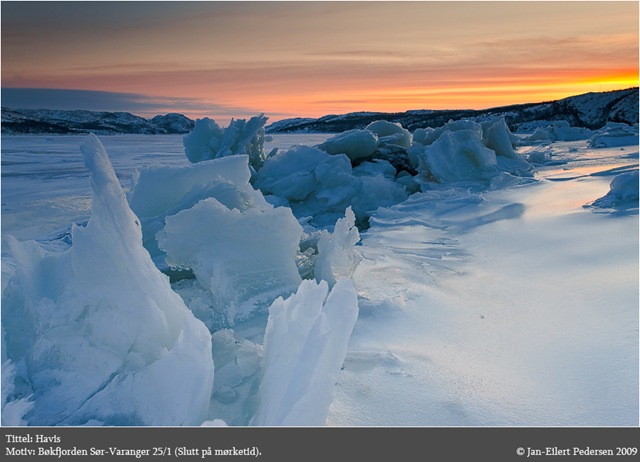 [Havis_25januar09[2].jpg]