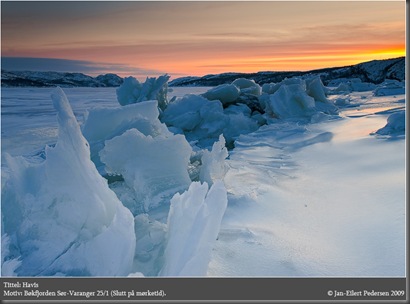 Havis_25januar09