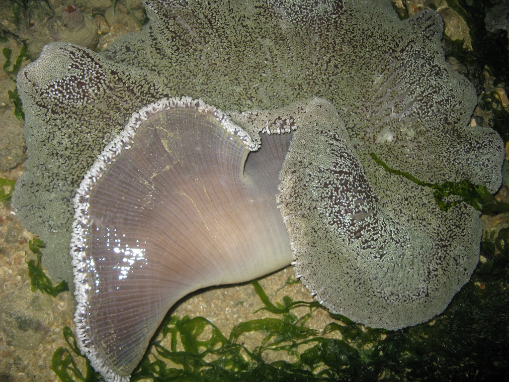 [IMG_80372.jpg]