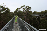 2009_08_10 Valley of Giants 21.jpg
