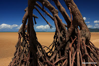 2009_08_28 Kurimini beach 021.jpg