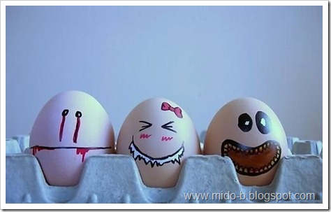 egg5