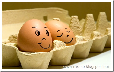egg8
