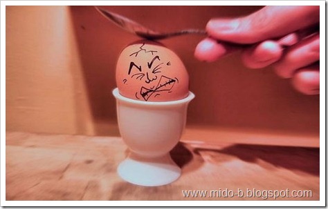 egg10