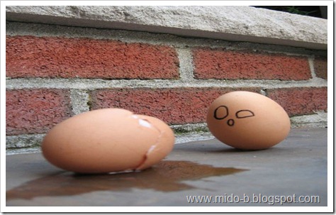 egg18