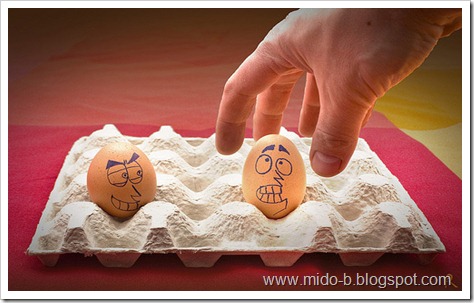 egg21