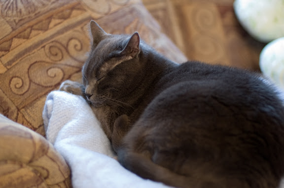 The sofa isn't soft enough for Anna.  She needs a soft blanket, on top of a pillow, on top of the sofa for comfort.