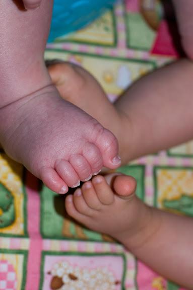 Andy is 2 months younger than Sam, but he's MUCH bigger... look at the feet.