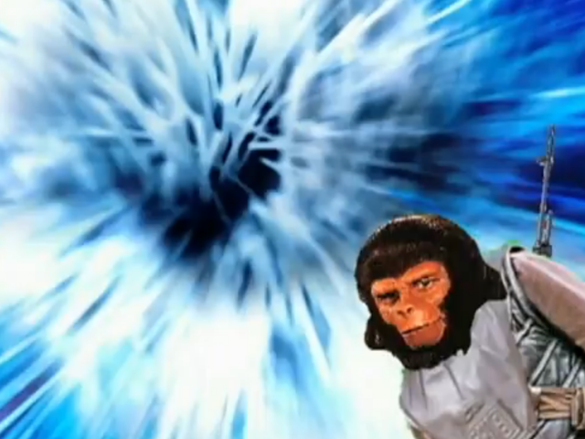 Link to Ape Law (VIDEO)