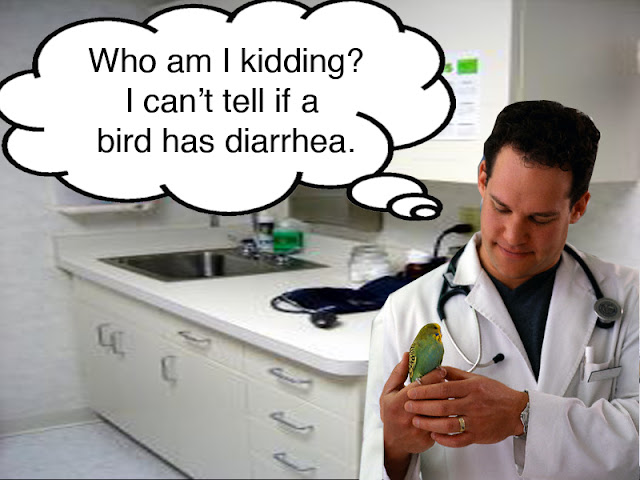 Link to Inside the mind of a vet – (PIC)