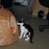 filou0002.jpg