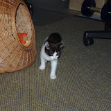 filou0003.jpg