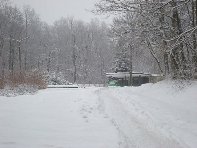 Śnieżne Zoo Poznań