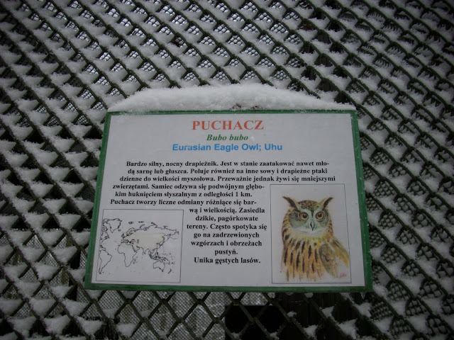 Woliera puchacza