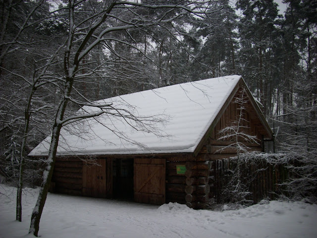 Chatka tygrysów