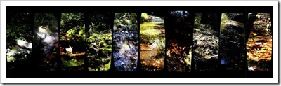 A-DORESTE20090412_01