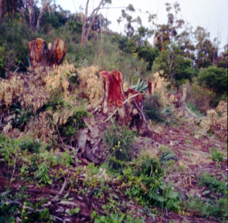[20090331_31[4].jpg]