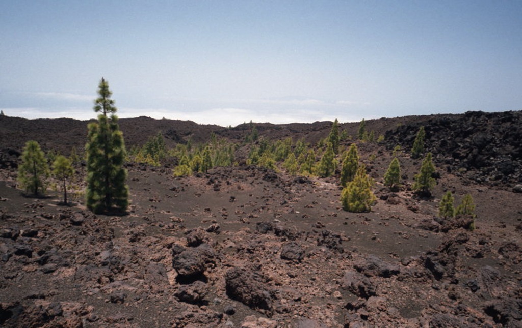 [cosina_woigtlander_022cosina_woigtlander_022_22[5].jpg]
