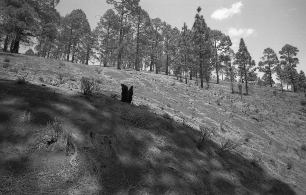 [voigtlander_teide_017_16[4].jpg]