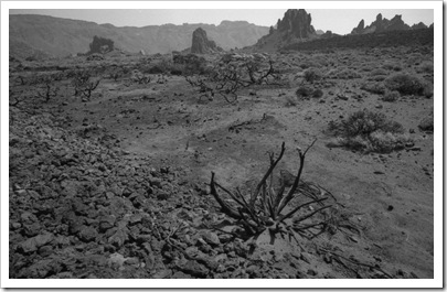 voigtlander_teide_014_13