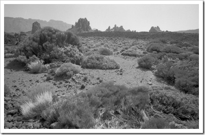 voigtlander_teide_035_34