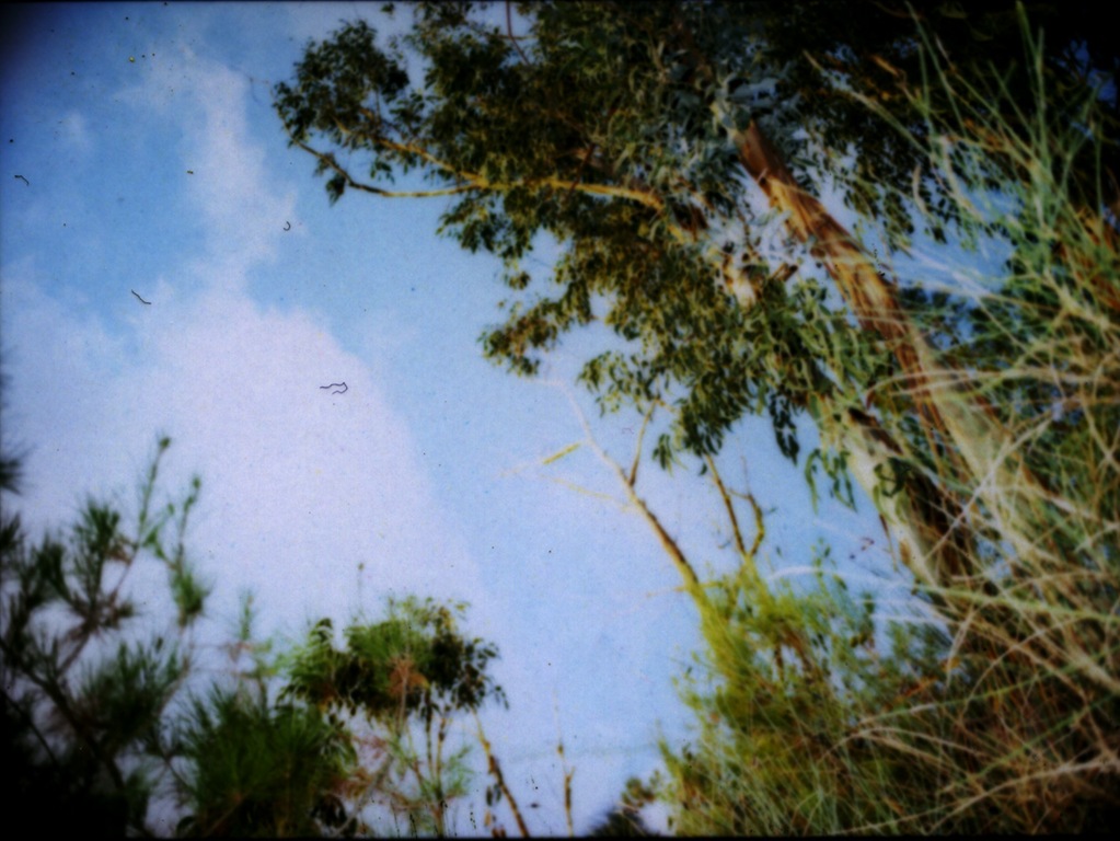 [645_pro_tl_polaroid_003[4].jpg]