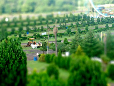 Tilt shift