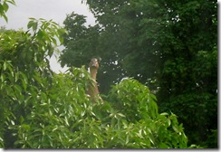 DSCN1540