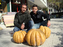 DEV BAL KABAĞI