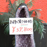 IMG_1282.jpg