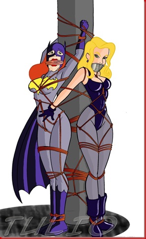 Batgirl_and_Black_Canary_by_TULIO19mx