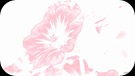 2 2