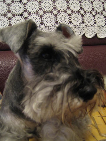 [IMG_15592.jpg]