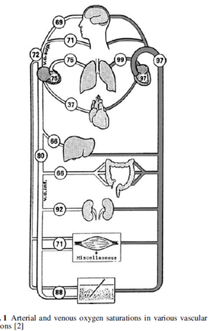 [image12.png]