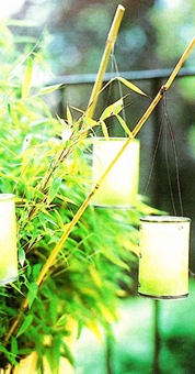bambu3