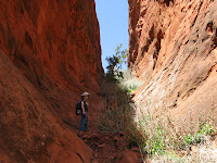 IMG_3878.JPG Photo