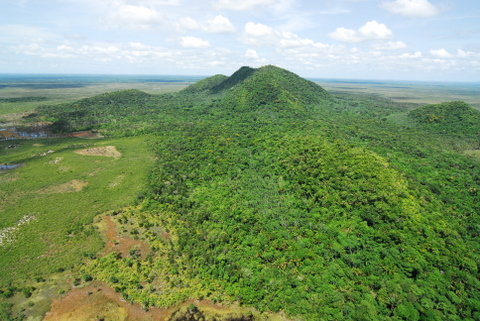 virua