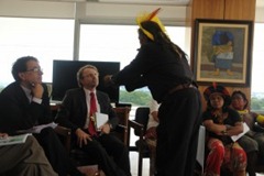 raoni no planalto raoni no planalto