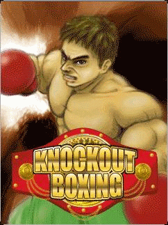 Knockout Boxing