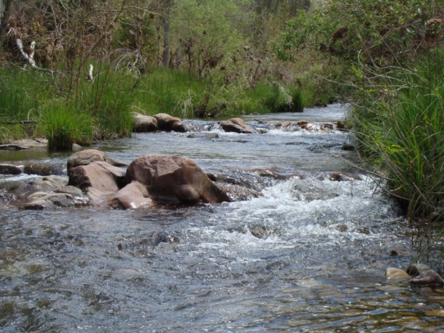 [creek[3].jpg]