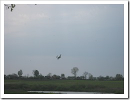 IMG_0660 IMG_0660