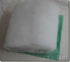 IMG_2184 IMG_2184