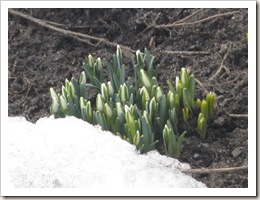 IMG_2378 IMG_2378