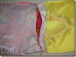 P6040025 P6040025