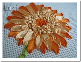 IMG_1223 IMG_1223