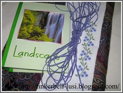 IMG_2594a IMG_2594a